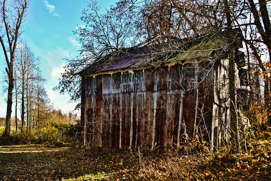 Secluded Barn 2013b Photograph by Greg Jackson