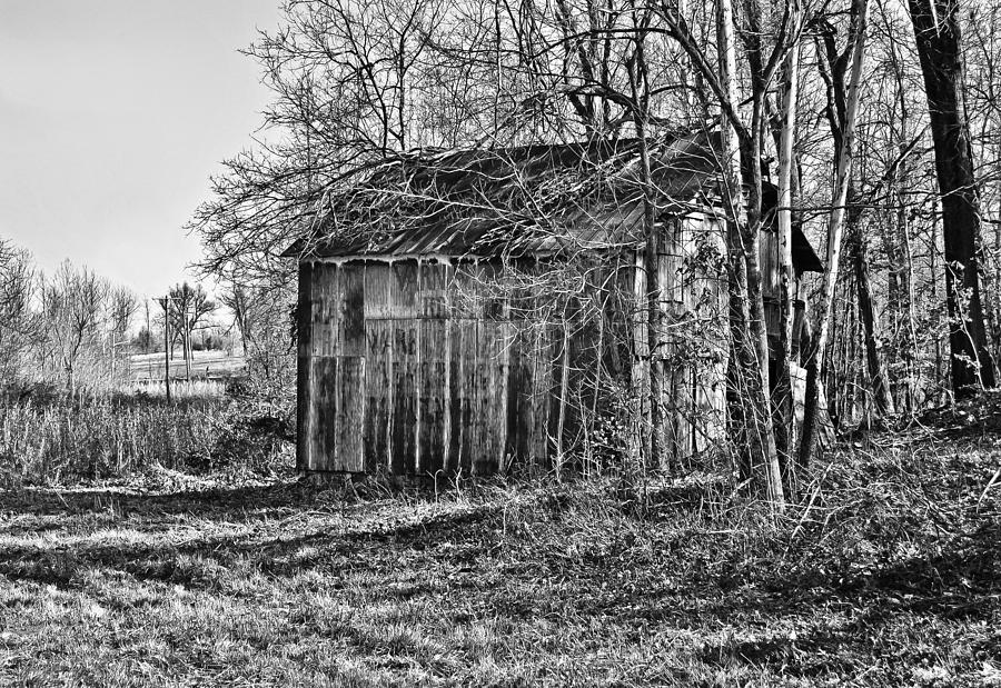 Secluded Barn in BW Photograph by Greg Jackson