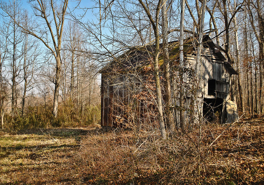 Secluded Barn Series 2 Photograph by Greg Jackson