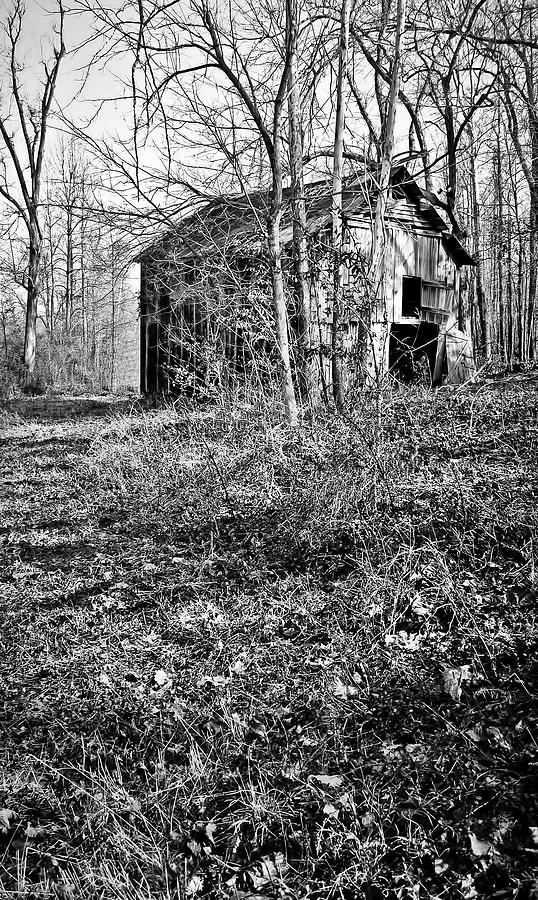 Secluded Barn Series 3 in BW Photograph by Greg Jackson