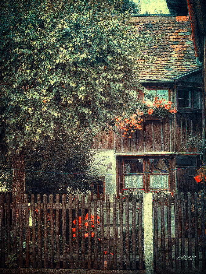 Secluded Corner Photograph by Jutta Maria Pusl