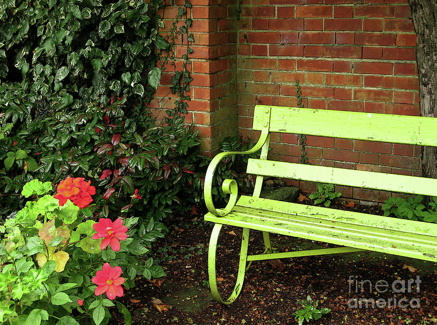 Secluded Garden Bench Photograph by Ann Horn