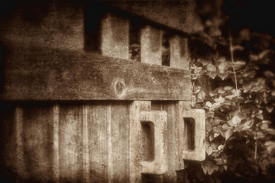 Brown Photograph - Secluded Garden by Tom Mc Nemar Brown Photograph - Secluded Garden by Tom Mc Nemar