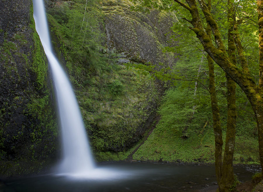Secluded water fall Photograph by Jim Boardman