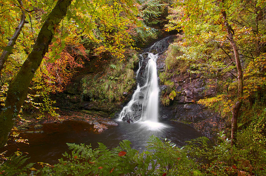 Secluded Waterfall by Trever Miller Secluded Waterfall by Trever Miller