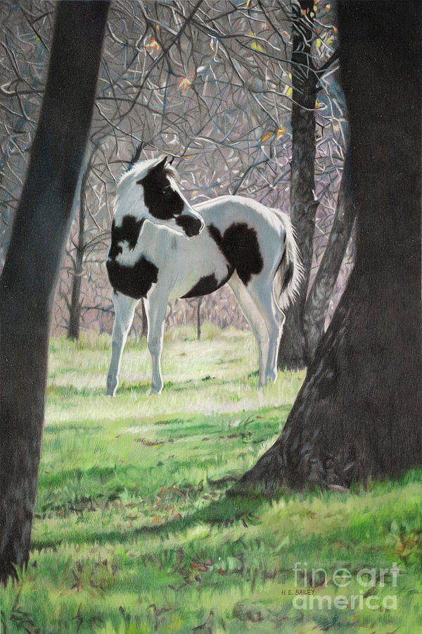 Paint Horse Drawing - Second Glance by Helen Bailey