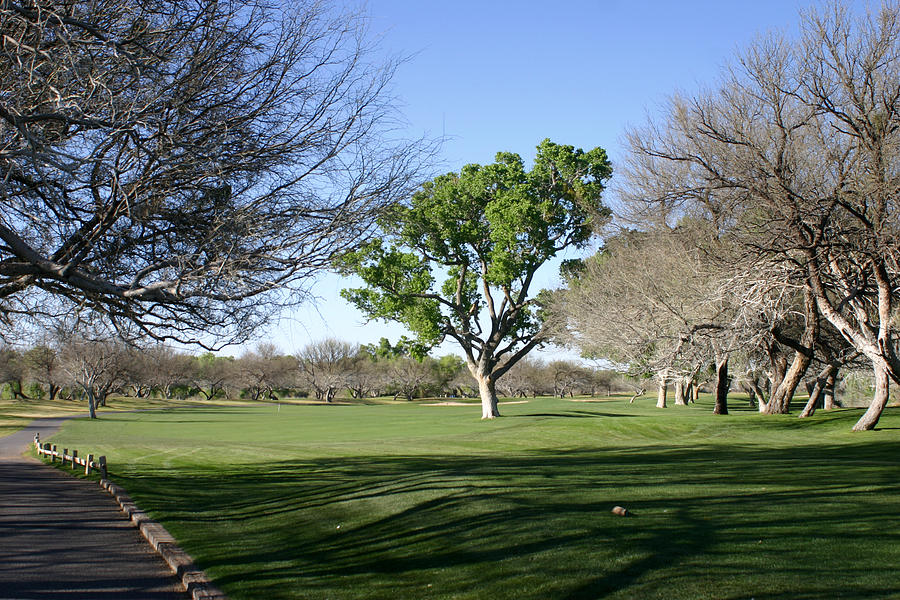 Second Tee Tubac Golf and Resort 9 hole course Photograph by Jack Pumphrey