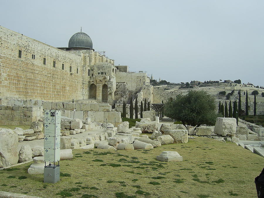 Landscape Photograph - Second Temple Ruins - the Mosque of Omar and the Mt. of Olives  by Esther Newman-Cohen