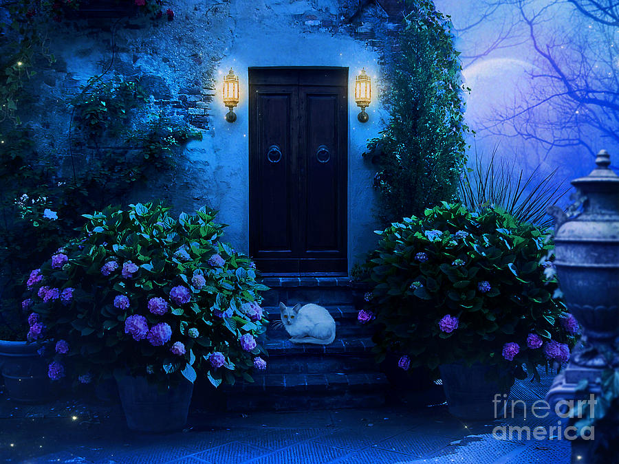 Secret Door Digital Art by Jessica Allain