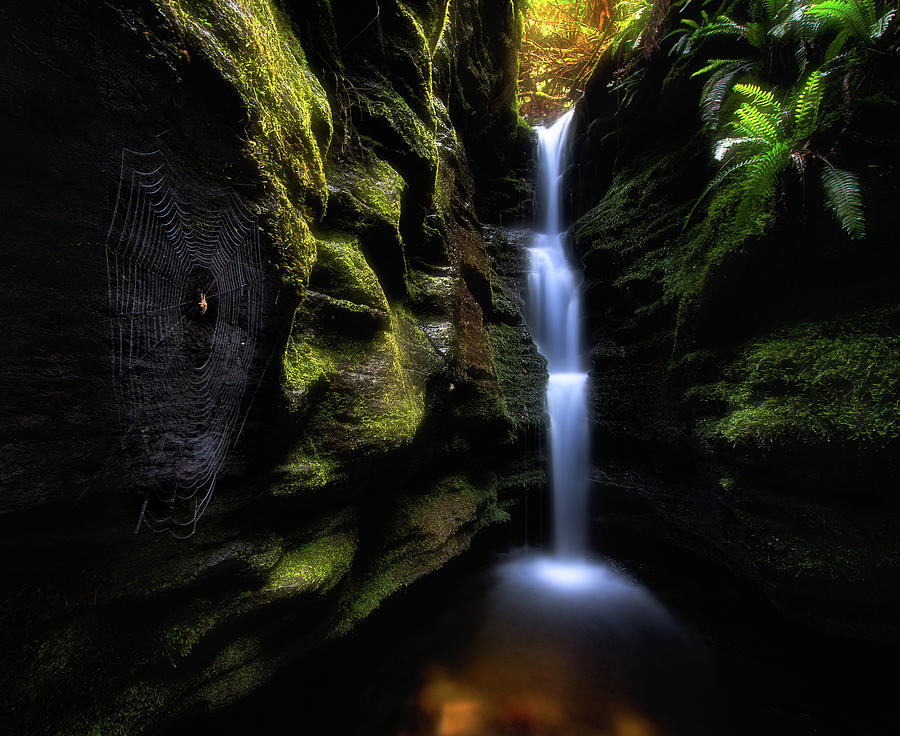 Spider Photograph - Secret Falls by Fei Shi