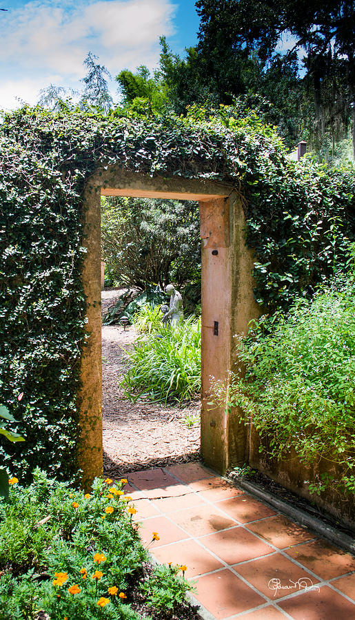 Secret Garden Door Photograph by Susan Molnar