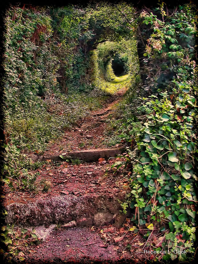Secret Path on Guernsey Photograph by Bellesouth Studio