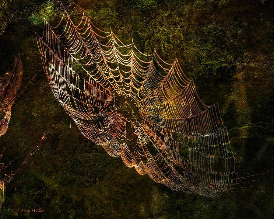 Secret Spider Sanctuary Digital Art by J Larry Walker