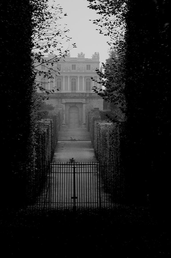 B&w Photograph - Secret view of the palace by Peter Falkner