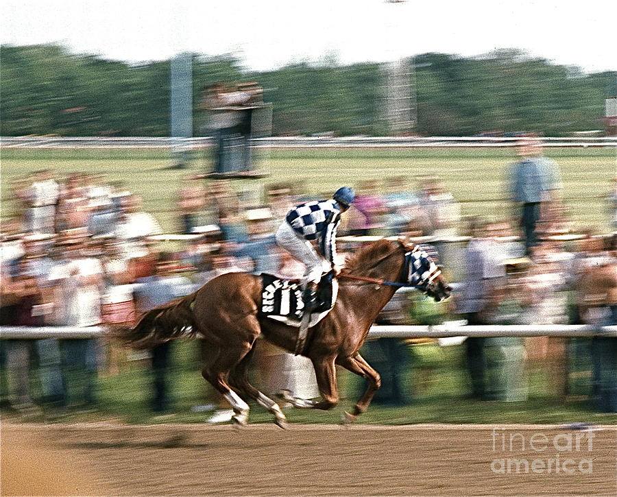 Secretariat Race Horse Winning at Arlington in 1973. Photograph by Robert Birkenes