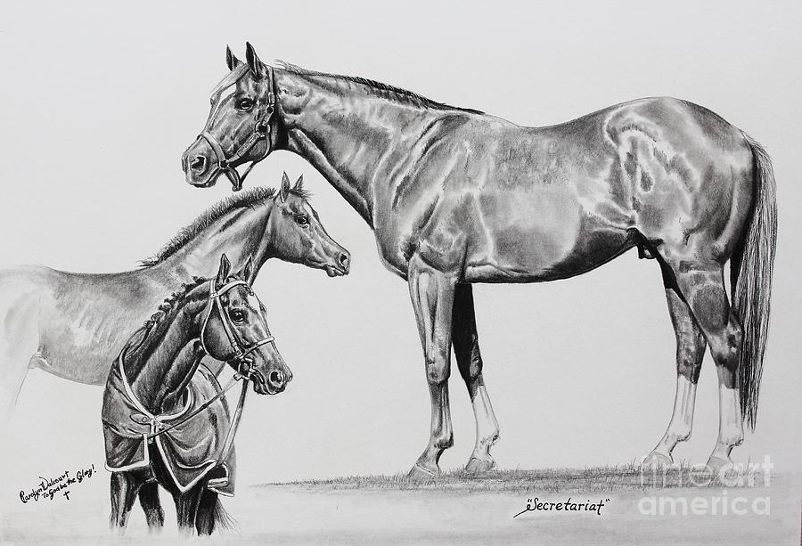 Horse Drawing - Secretariat Seasons by Carolyn Valcourt