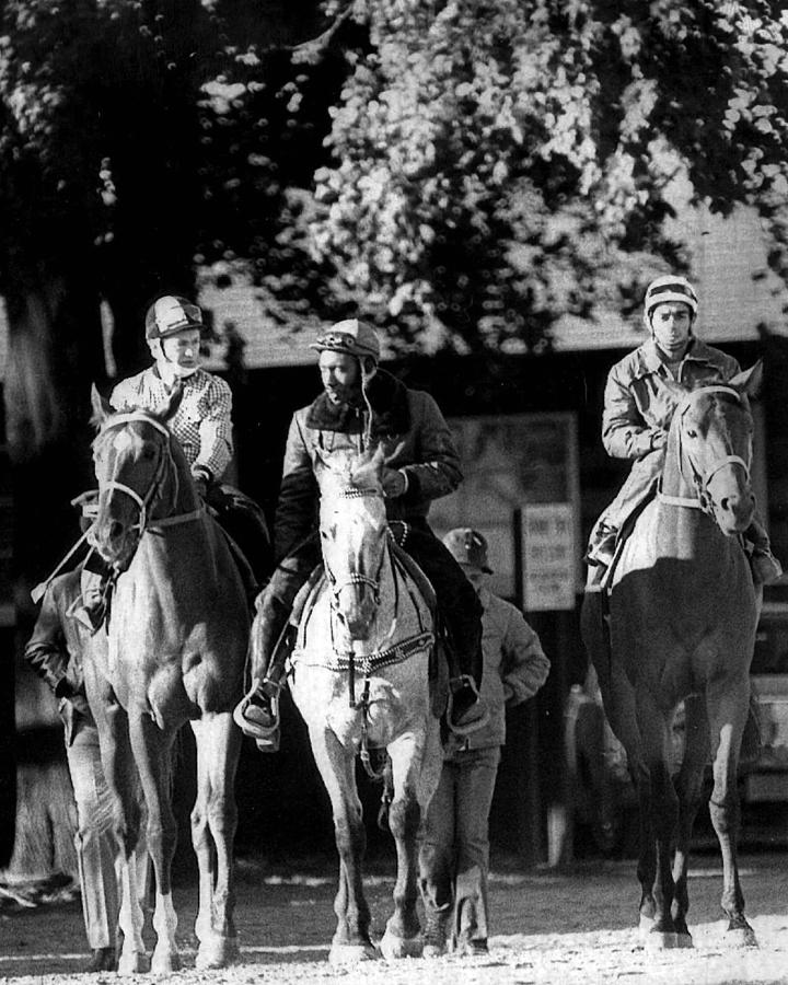 Secretariat Vintage Horse Racing #08 Photograph by Retro Images Archive