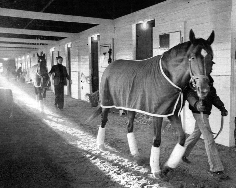 Secretariat Vintage Horse Racing #10 Photograph by Retro Images Archive