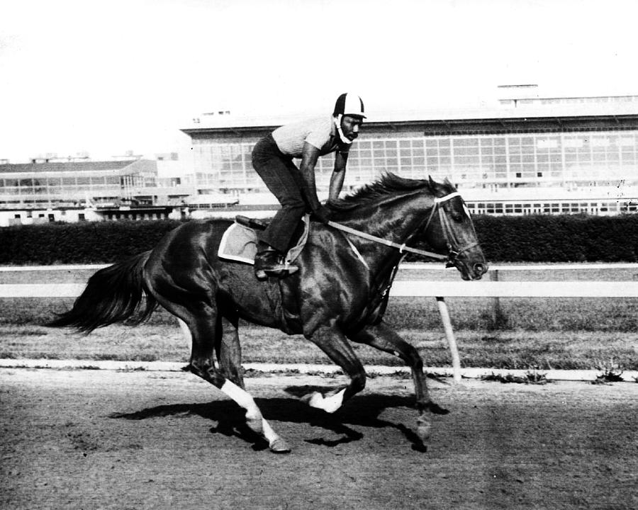 Secretariat Vintage Horse Racing #14 Photograph by Retro Images Archive