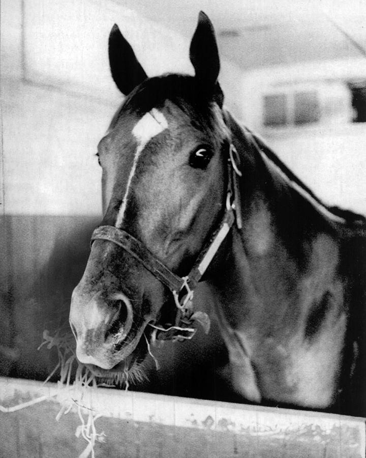 Secretariat Vintage Horse Racing #18 Photograph by Retro Images Archive