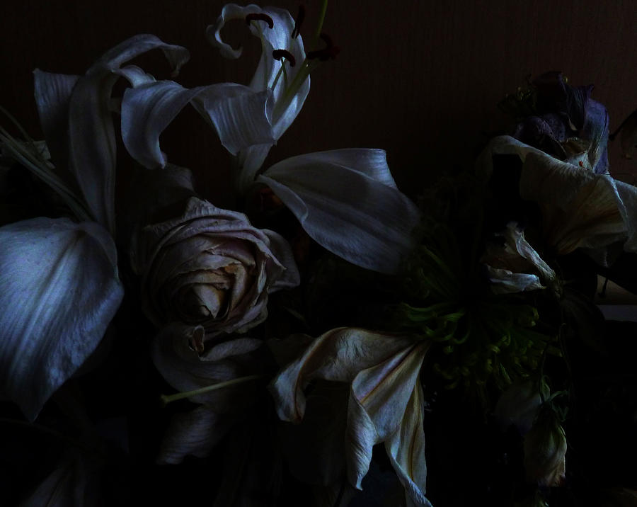 Secrets Of The Dark Photograph by Baato Secrets Of The Dark Photograph by Baato