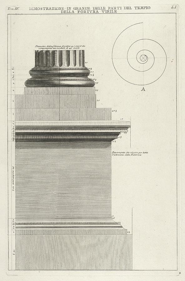 Giovanni Battista Piranesi Drawing - Section Of Column Base From The Temple by Giovanni Battista Piranesi