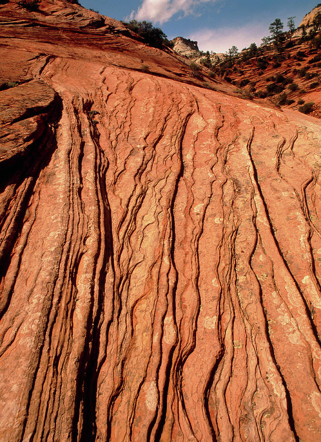 Sedimentary Cliff Strata Photograph by Tony Craddock/science Photo Library