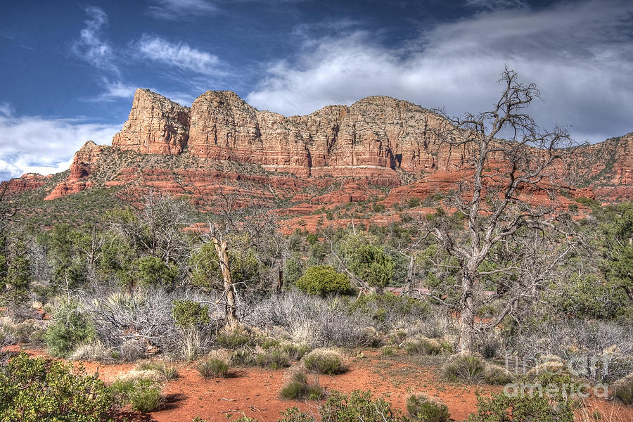 Sedona afternoon Photograph by Bryan Keil