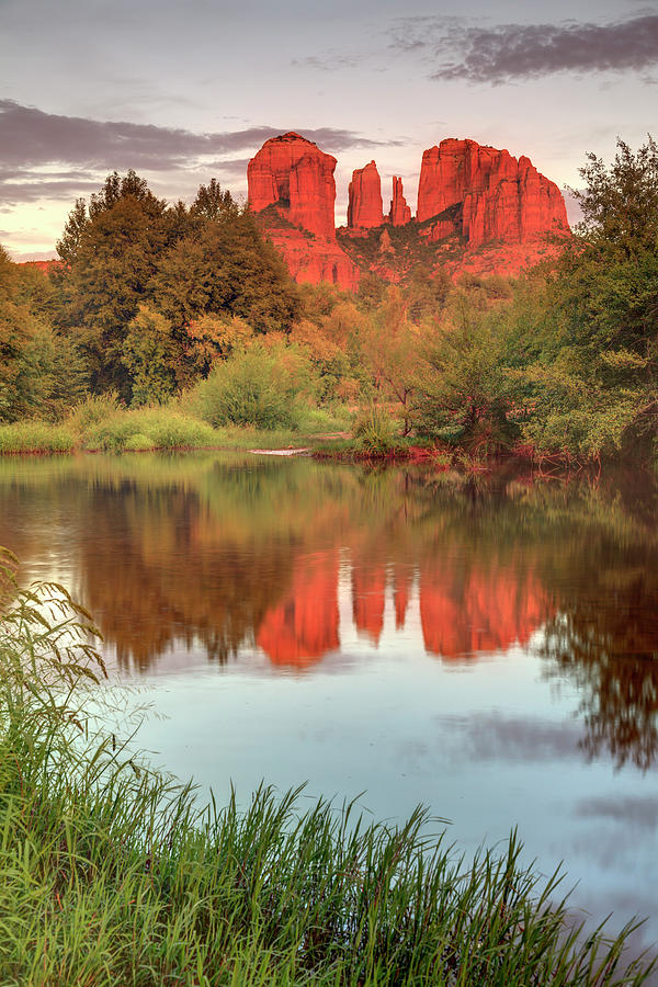 Sedona, Cathedral Rock Photograph by Michele Falzone
