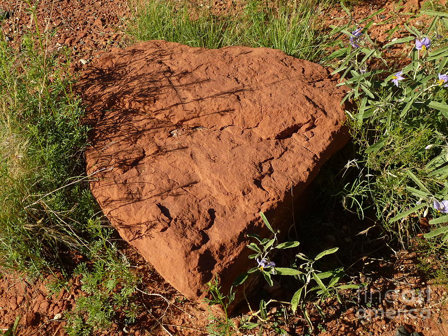 Sedona Heart Rock Photograph by Mars Besso