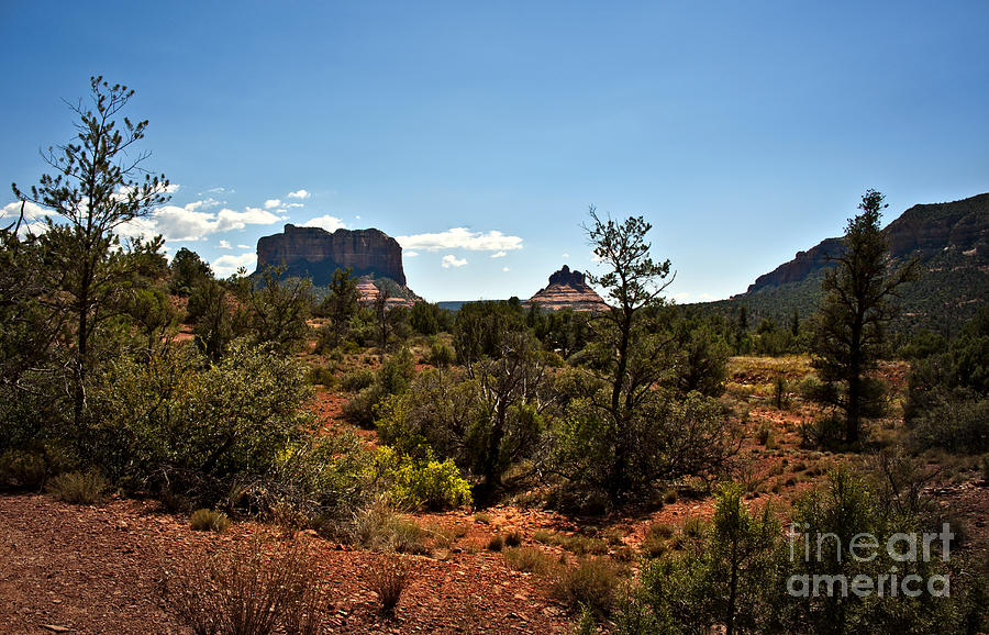 Sedona Heat of the Day Photograph by Lee Craig