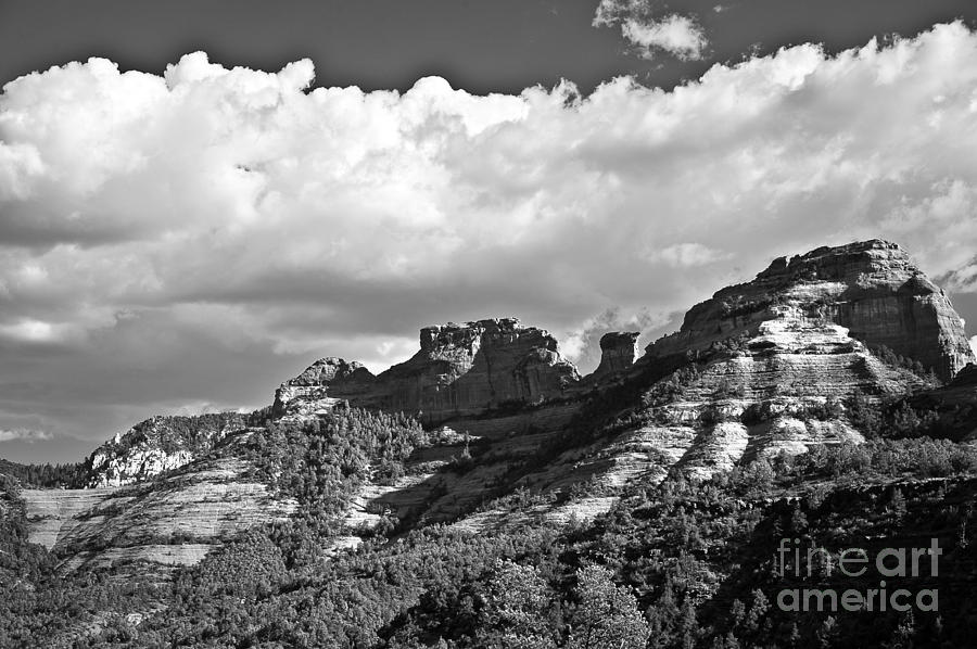 Sedona Spring Welcome in Black and White Photograph by Lee Craig