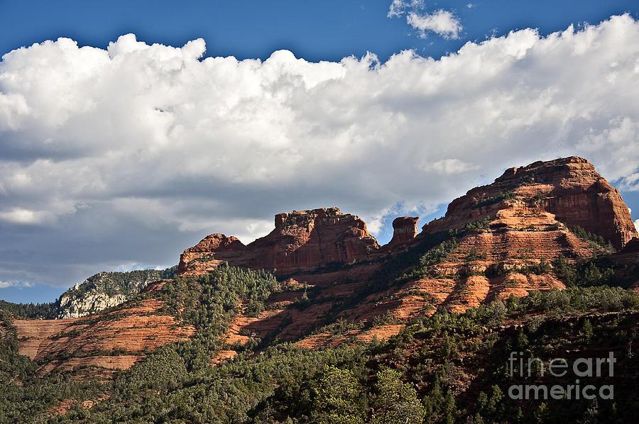 Mountain Photograph - Sedona Spring Welcome by Lee Craig