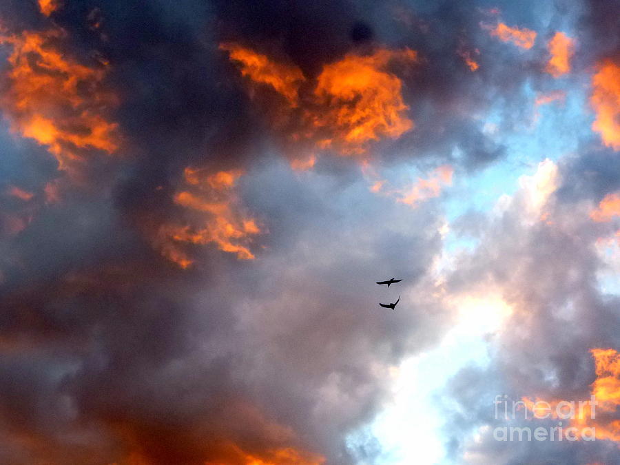 Sedona Sunset Ravens Photograph by Mars Besso