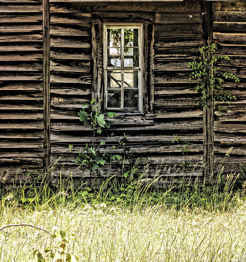 See through to the old ways Photograph by Delena Ostrander - Fine Art ...