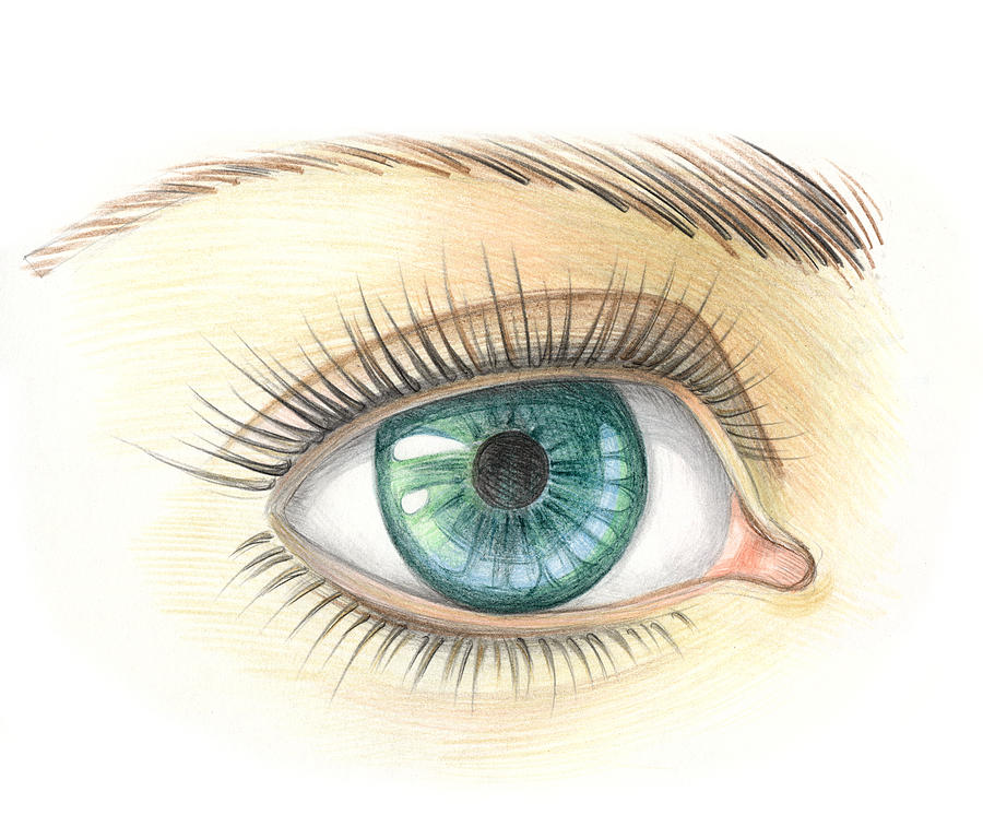 Eye Drawing - See you by Olga Zelenkova
