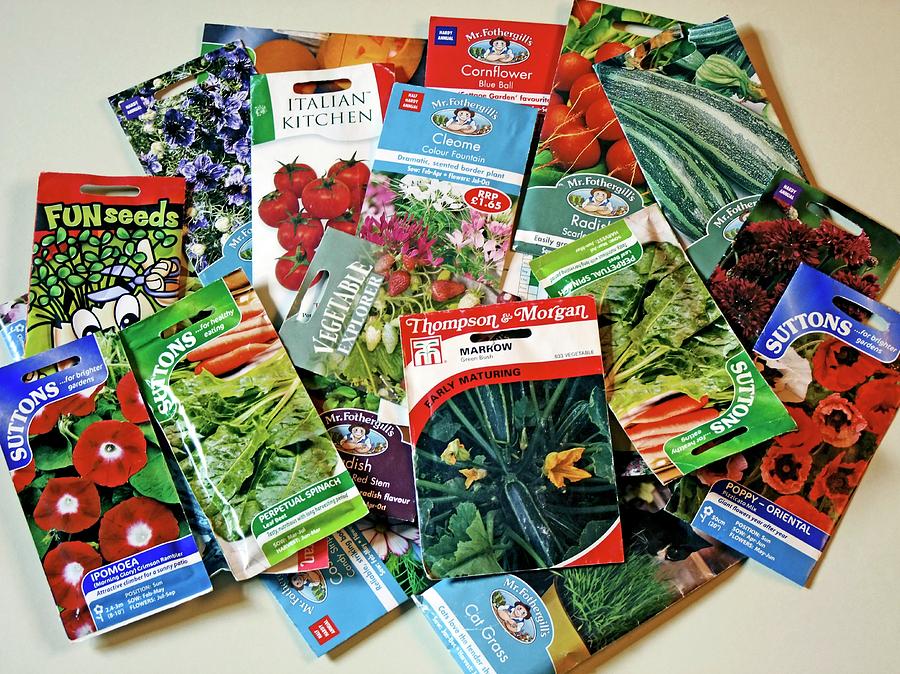 Seed Packets Photograph by Ian Gowland/science Photo Library