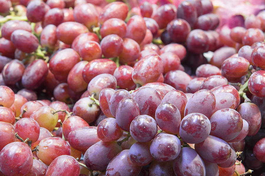 Grapes, Seedless (Green, Large Pack) - The Buyer's Market Foodshop