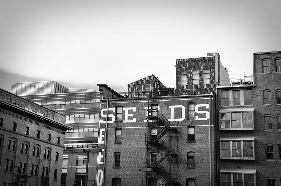Black And White Photograph - Seeds Building Two by Todd Hartzo Black And White Photograph - Seeds Building Two by Todd Hartzo