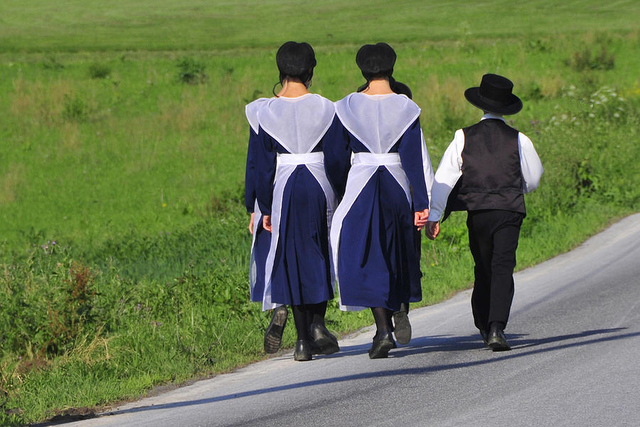 Amish Photograph - Seeing Double by Dan Myers