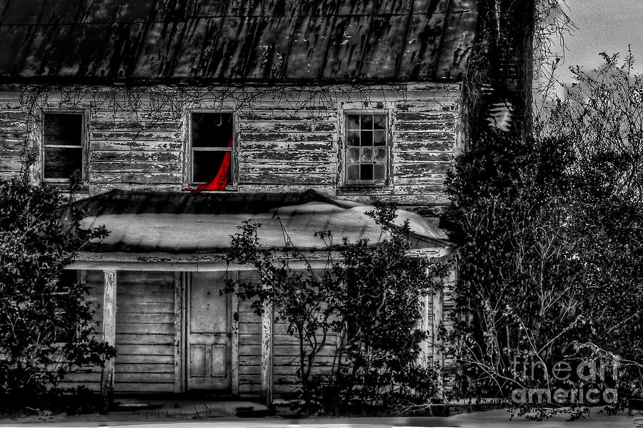 Seeing Red Photograph by Brenda Giasson