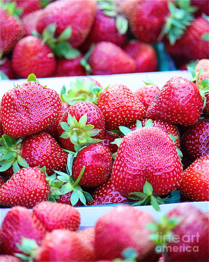 Strawberry Photograph - Sweet Strawberries by Lisa Billingsley