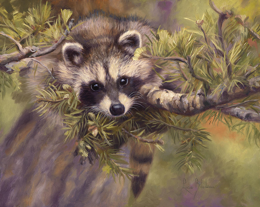 Raccoon Painting - Seeking Mischief by Lucie Bilodeau