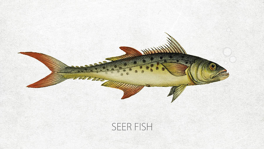 Indo Digital Art - Seer Fish by Aged Pixel