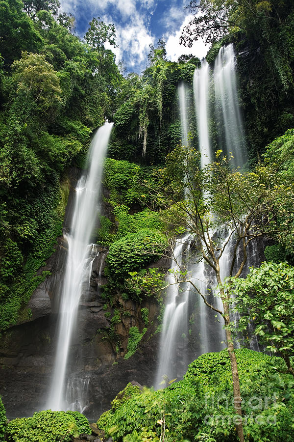 Nature Photograph - Sekumpul Waterfall by Rod McLean