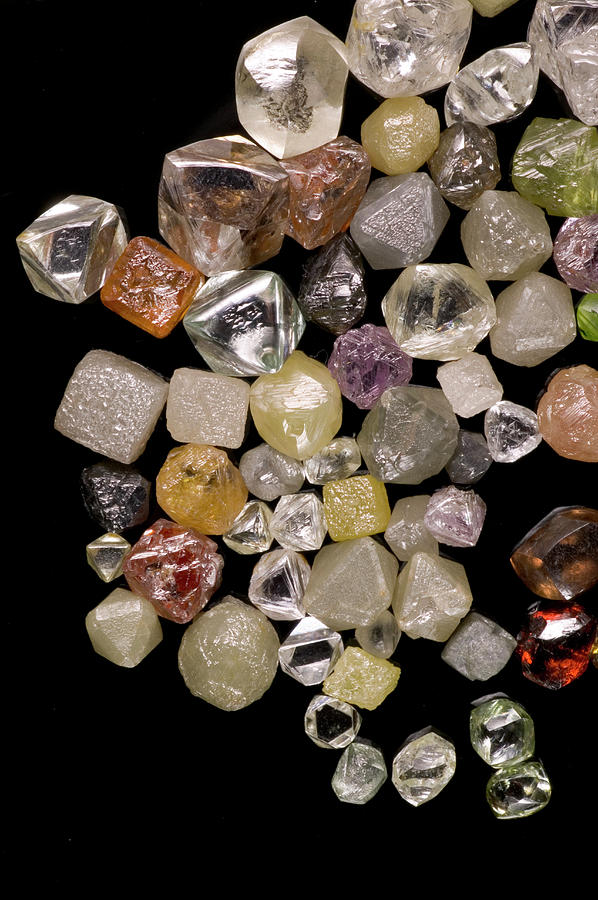 Selection Of Diamonds Photograph by Natural History Museum, London/science Photo Library