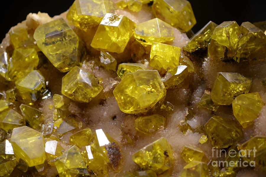 Selenite Gypsum Crystals Macro Photograph by Shawn OBrien