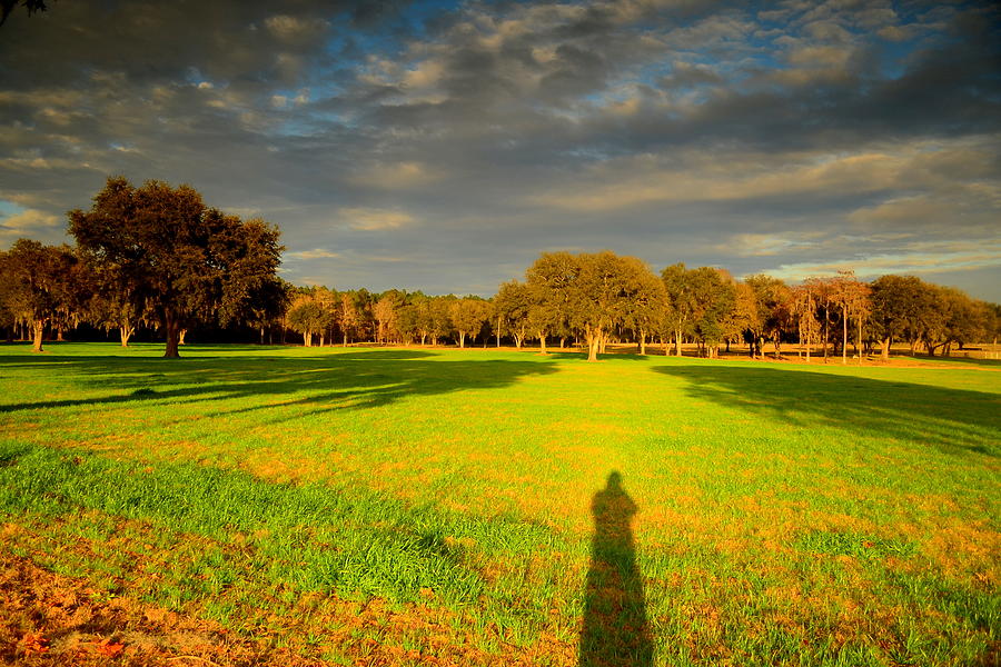 self-portrait-landscape-photograph-by-john-stokes-fine-art-america