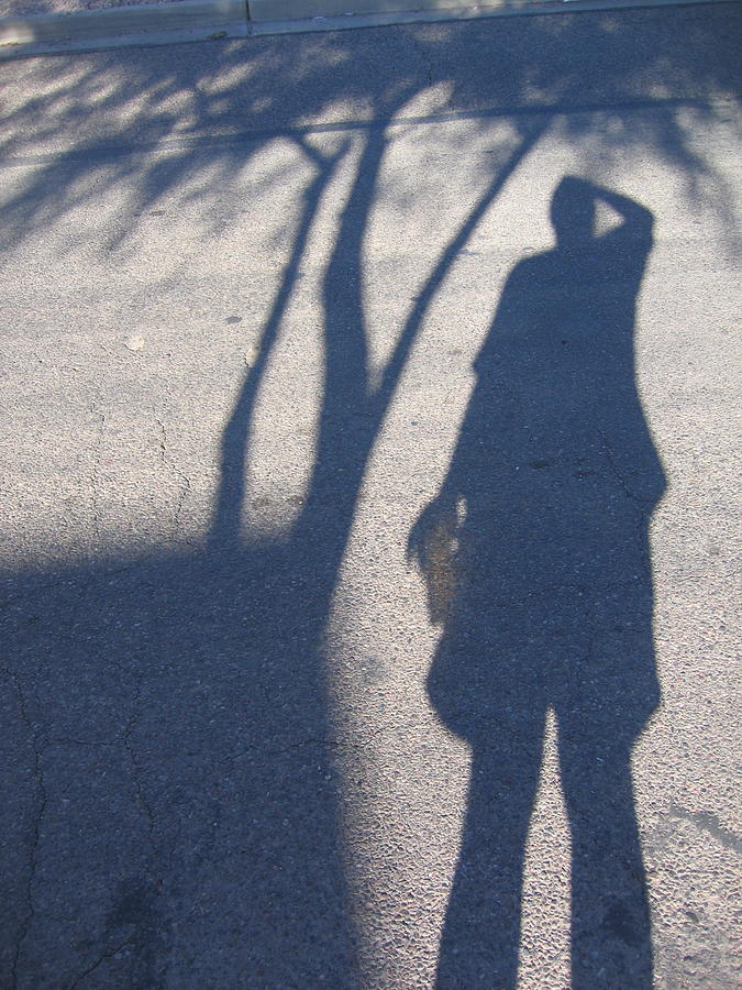 Self portrait shadow with glass cup and tree  Casa Grande Arizona 2004 Photograph by David Lee Guss