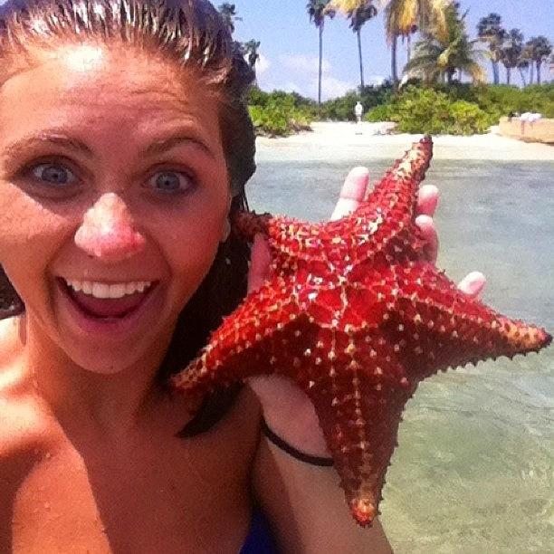 Selfie With A Starfish Wessup Photograph by Molly Brown